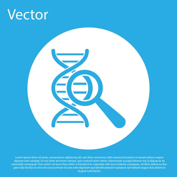 Синяя ДНК исследование, иконка поиска изолирована на синем фоне. Увеличительное стекло и цепочка ДНК. Генная инженерия, клонирование, тестирование отцовства. Кнопка белого круга. Плоский дизайн. Векторная миграция — стоковый вектор