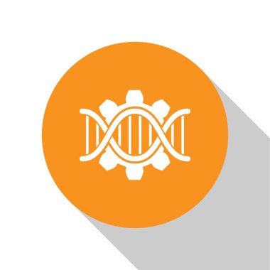 Beyaz Genetik mühendislik simgesi beyaz arka plan üzerinde izole. DNA analizi, genetik testi, klonlama, babalık testi. Turuncu daire düğmesi. Düz tasarım. Vektör İllüstrasyonu