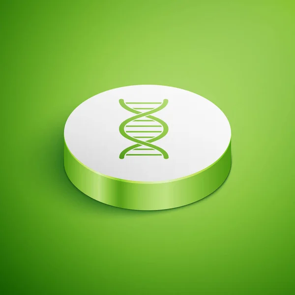 Isometrisch DNA symbool icoon geïsoleerd op groene achtergrond. Witte cirkel knop. Vector illustratie — Stockvector