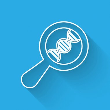 Beyaz DNA araştırması, arama çizgisi simgesi uzun gölge ile izole. Büyüteç ve DNA zinciri. Genetik mühendisliği, klonlama, babalık testi. Vektör İllüstrasyonu