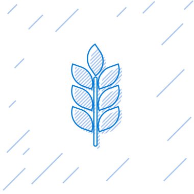 Mavi Tahıllar simgesi pirinç, buğday, mısır, yulaf, çavdar, arpa çizgi simgesi beyaz arka plan üzerinde izole ile ayarlanır. Buğday ekmeği sembolleri kulakları. Tarım buğday sembolü. Vektör İllüstrasyonu