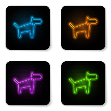 Beyaz arka planda izole parlayan neon Köpek simgesi. Siyah kare düğme. Vektör İllüstrasyonu