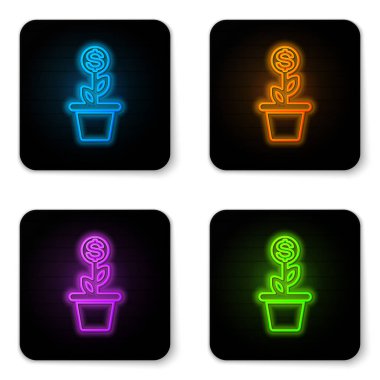 Beyaz arka plan üzerinde izole pot simgesi parlayan neon Dolar bitki. İş yatırım büyüme kavramı. Para tasarrufu ve yatırım. Siyah kare düğme. Vektör İllüstrasyonu