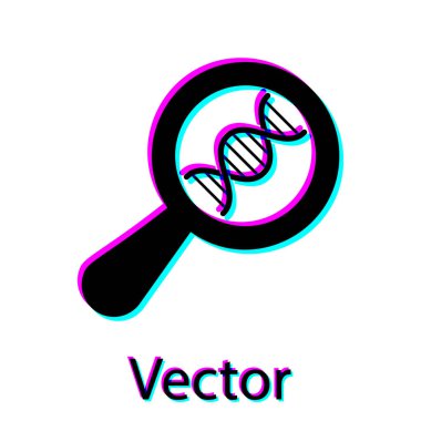 Siyah DNA araştırması, beyaz arka planda izole edilmiş arama simgesi. Büyüteç ve DNA zinciri. Genetik mühendisliği, klonlama, babalık testi. Vektör İllüstrasyonu