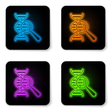 Parlayan neon Dna araştırması, beyaz arka planda izole edilmiş arama simgesi. Büyüteç ve DNA zinciri. Genetik mühendisliği, klonlama, babalık testi. Siyah kare düğme. Vektör İllüstrasyonu