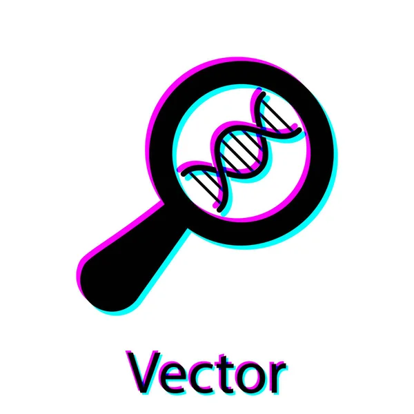 黑色Dna研究，搜索图标孤立在白色背景。放大镜和dna链。基因工程、克隆、亲子鉴定。矢量插图 — 图库矢量图片
