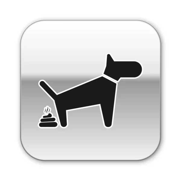 Schwarzer Hund pooping Symbol isoliert auf weißem Hintergrund. Hund geht auf Toilette. Hund entledigt sich. das Konzept des Platzes für Haustiere zu Fuß. Silberner quadratischer Knopf. Vektorillustration — Stockvektor