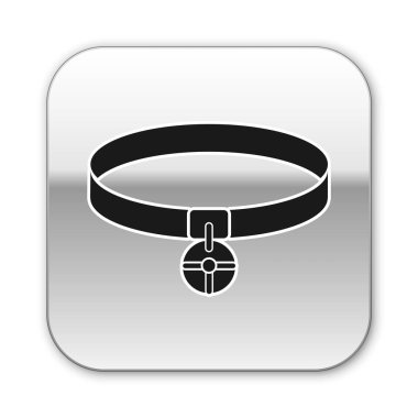 Beyaz arka planda izole edilmiş ad etiketi simgesine sahip Siyah Yaka. Evcil hayvanlar için basit malzemeler. Kedi ve köpek bakımı. Evcil hayvan zincirleri. Gümüş kare düğme. Vektör İllüstrasyonu