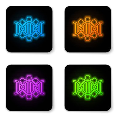 Beyaz arka planda izole parlayan neon Genetik mühendislik simgesi. DNA analizi, genetik testi, klonlama, babalık testi. Siyah kare düğme. Vektör İllüstrasyonu