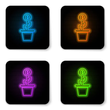 Beyaz arka plan üzerinde izole pot simgesi parlayan neon Bitcoin bitki. İş yatırım büyüme kavramı. Blockchain teknolojisi, kripto para madenciliği. Siyah kare düğme. Vektör İllüstrasyonu
