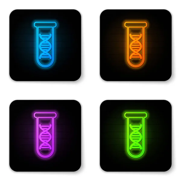 Leuchtende Neon dna Forschung, Suchsymbol isoliert auf weißem Hintergrund. Gentechnik, Gentests, Klonen, Vaterschaftstests. schwarzer quadratischer Knopf. Vektorillustration — Stockvektor