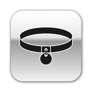 Beyaz arka planda izole edilmiş ad etiketi simgesine sahip Siyah Yaka. Evcil hayvanlar için basit malzemeler. Kedi ve köpek bakımı. Evcil hayvan zincirleri. Gümüş kare düğme. Vektör İllüstrasyonu