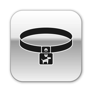 Beyaz arka planda izole ad etiketi simgesi ile Siyah Köpek yaka. Evcil hayvanlar için basit malzemeler. Kedi ve köpek bakımı. Evcil köpek zincirleri. Gümüş kare düğme. Vektör İllüstrasyonu