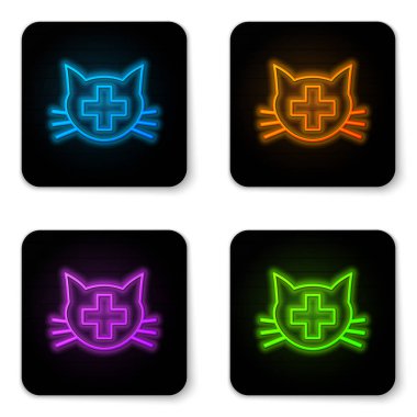 Beyaz arka planda izole parlayan neon Veteriner kliniği sembol simgesi. Kedi veteriner bakımı ile çapraz. Pet İlk Yardım işareti. Siyah kare düğme. Vektör İllüstrasyonu