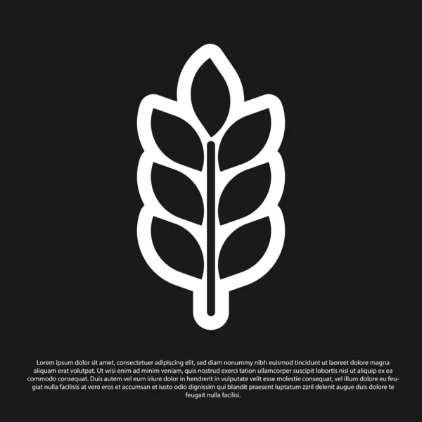 Černá obilná ikona s rýží, pšenice, kukuřice, oves, žita, značka ječmene izolovaná na černém pozadí. Uši symbolů pšeničného chleba. Symbol zemědělské pšenice. Vektorová ilustrace — Stockový vektor