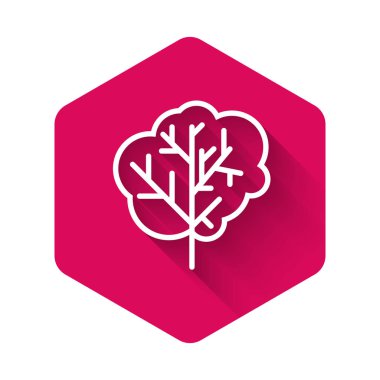 Beyaz Ağaç simgesi uzun gölgelerle izole edilmiş. Orman sembolü. Pembe altıgen düğmesi. Vektör İllüstrasyonu