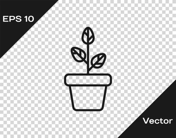 Flores grises en maceta icono aislado sobre fondo transparente. Planta creciendo en una maceta. Signo de planta en maceta. Ilustración vectorial — Vector de stock