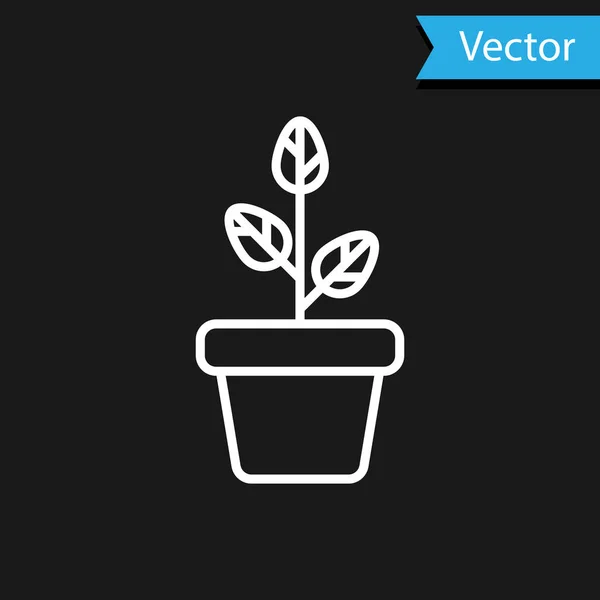 Flores blancas en maceta icono aislado sobre fondo negro. Planta creciendo en una maceta. Signo de planta en maceta. Ilustración vectorial — Vector de stock