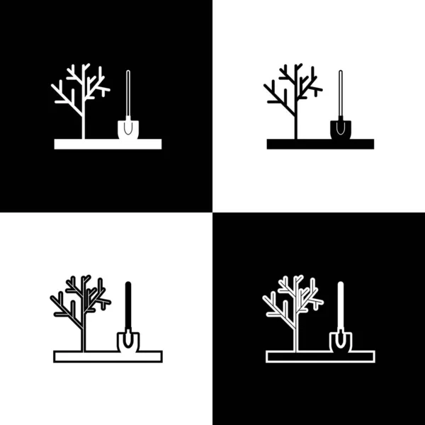 Set Pflanzung eines Baumes in den Boden Symbol isoliert auf schwarz-weißem Hintergrund. Gartenarbeit, Landwirtschaft, Umweltschutz. Vektorillustration — Stockvektor