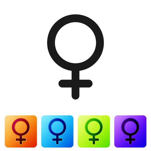 Icône de symbole de genre féminin noir isolé sur fond blanc. Le symbole de Vénus. Le symbole d'un organisme féminin ou d'une femme. Définir l'icône dans les boutons carrés de couleur. Illustration vectorielle — Image vectorielle