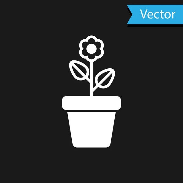 Flor blanca en maceta icono aislado sobre fondo negro. Planta creciendo en una maceta. Signo de planta en maceta. Ilustración vectorial — Vector de stock