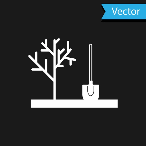 Bílá výsadba stromu v zemský ikoně, izolovaná na černém pozadí. Zahradování, zemědělství, péče o životní prostředí. Vektorová ilustrace — Stockový vektor