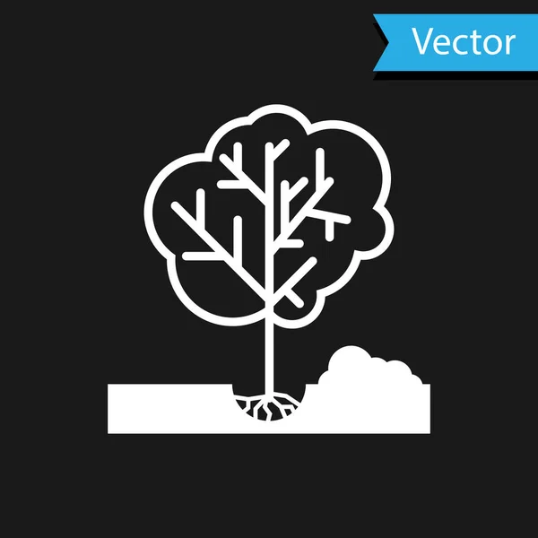 Blanc Planter un arbre dans l'icône du sol isolé sur fond noir. Jardinage, agriculture, respect de l'environnement. Illustration vectorielle — Image vectorielle