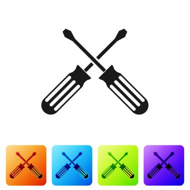 Siyah çapraz Tornavidalar simgesi beyaz arka planda izole. Servis aracı sembolü. Renk kare düğmelerinde simgeyi ayarlayın. Vektör Illustration