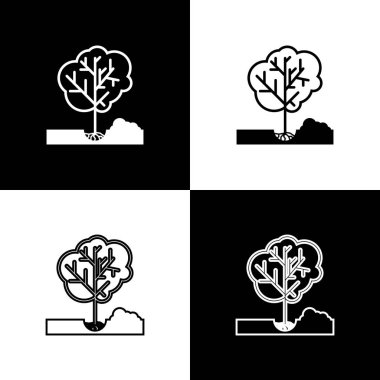 Siyah ve beyaz arka planda izole zemin simgesine ağaç dikme ayarlayın. Bahçe, tarım, çevre bakımı. Vektör Illustration