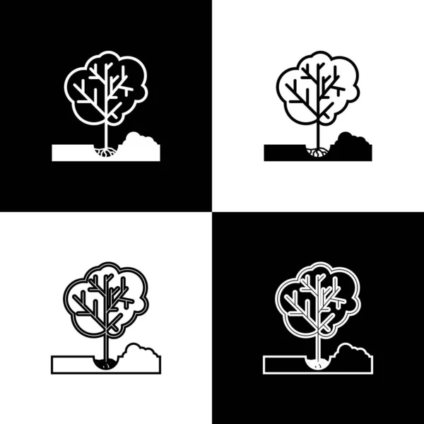 Set Pflanzung eines Baumes in den Boden Symbol isoliert auf schwarz-weißem Hintergrund. Gartenarbeit, Landwirtschaft, Umweltschutz. Vektorillustration — Stockvektor