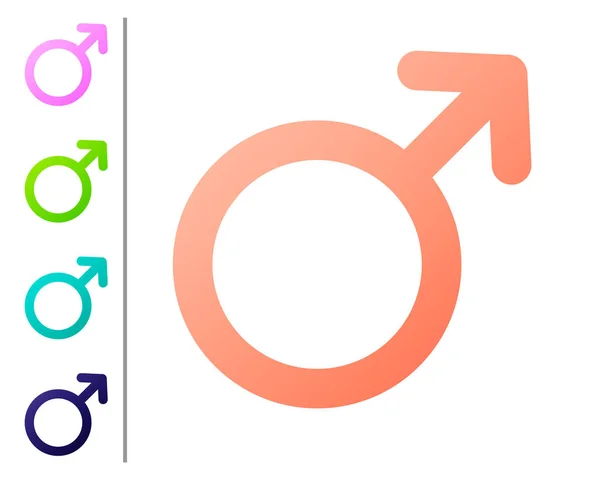 Коралловый символ мужского пола выделен на белом фоне. Задайте цвет. Векторная миграция — стоковый вектор