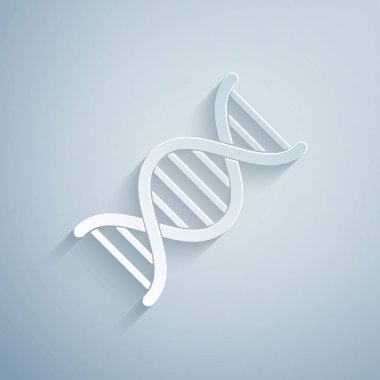 Kağıt kesilmiş Dna sembolü simgesi gri arka plan üzerinde izole. Kağıt sanat tarzı. Vektör İllüstrasyonu