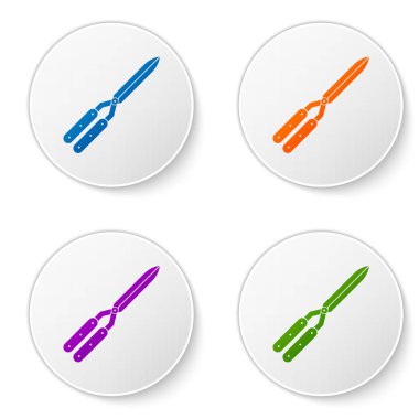 Beyaz arka plan üzerinde izole simge kırpma için Renk Bahçe el yapımı makas. Ahşap saplı budama makası. Simgeleri daire düğmelerine ayarlayın. Vektör İllüstrasyonu
