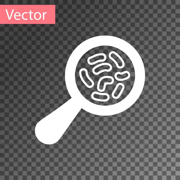 Белые микроорганизмы под значком лупы изолированы на прозрачном фоне. Бактерии и микробы, рак клеток, микробы, вирусы, грибы. Векторная миграция — стоковый вектор