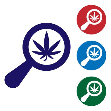 Mavi Büyüteç ve tıbbi marihuana veya esrar yaprağı simgesi beyaz arka plan üzerinde izole. Kenevir sembolü. Renk simgelerini daire düğmelerinde ayarlayın. Vektör İllüstrasyonu