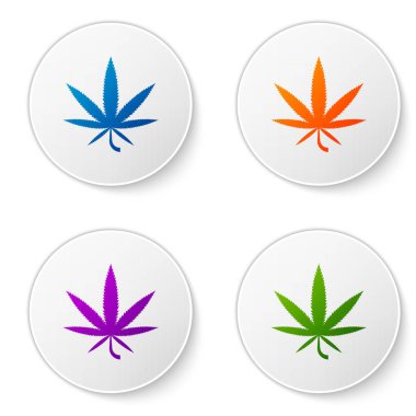 Renkli tıbbi marihuana ya da kenevir yaprağı ikonu beyaz arka planda izole edilmiş. Kenevir sembolü. Simgeleri daire düğmelerine ayır. Vektör İllüstrasyonu