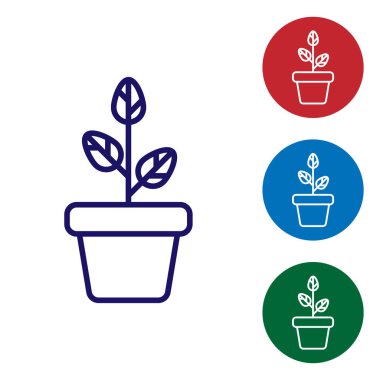 Beyaz arka planda yalıtılmış saksı simgesindeki Mavi Çiçekler. Bir tencerede yetişen bitki. Saksı bitki işareti. Renk simgesini daire düğmelerinde ayarlayın. Vektör İllüstrasyonu