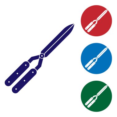 Beyaz arka plan üzerinde izole simge kırpma için Mavi Bahçe el yapımı makas. Ahşap saplı budama makası. Renk simgesini daire düğmelerinde ayarlayın. Vektör İllüstrasyonu