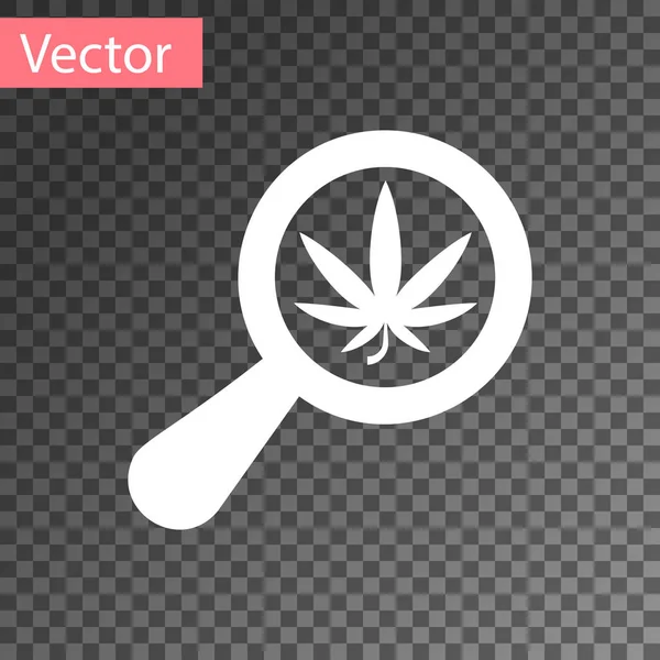 Weiße Lupe und medizinisches Marihuana oder Cannabisblatt-Symbol isoliert auf transparentem Hintergrund. Hanf-Symbol. Vektorillustration — Stockvektor