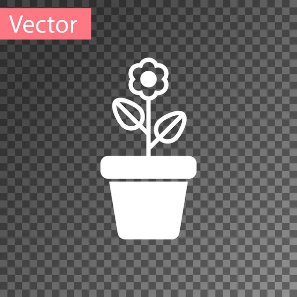 Flor blanca en maceta icono aislado sobre fondo transparente. Planta creciendo en una maceta. Signo de planta en maceta. Ilustración vectorial — Vector de stock