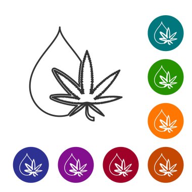 Gri çizgi Tıbbi esrar veya esrar yaprağı zeytinyağı damla simgesi beyaz arka plan üzerinde izole. Kenevir özü. Kenevir sembolü. Simgeleri renk çemberi düğmelerinde ayarlayın. Vektör İllüstrasyonu