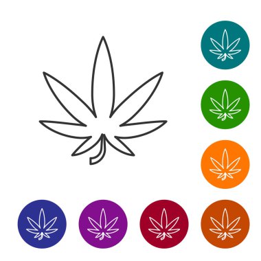 Gri çizgi Tıbbi esrar veya esrar yaprağı simgesi beyaz arka plan üzerinde izole. Kenevir sembolü. Simgeleri renk çemberi düğmelerinde ayarlayın. Vektör İllüstrasyonu