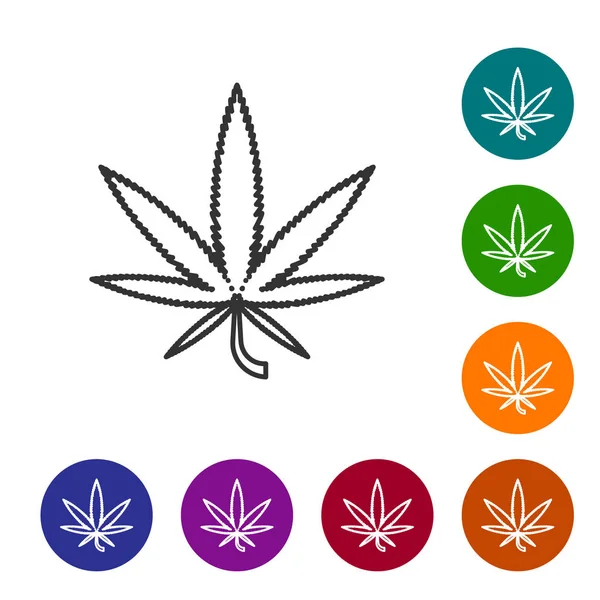 Línea gris Icono de marihuana medicinal o hoja de cannabis aislado sobre fondo blanco. Un símbolo de cáñamo. Establecer iconos en botones de círculo de color. Ilustración vectorial — Vector de stock