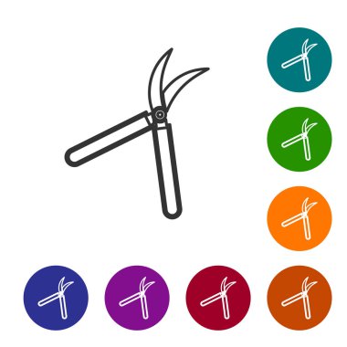 Gri çizgi Beyaz arka plan üzerinde izole simge kırpma için el yapımı makas Bahçe. Ahşap saplı budama makasları. Simgeyi renk çemberi düğmelerinde ayarlayın. Vektör İllüstrasyonu