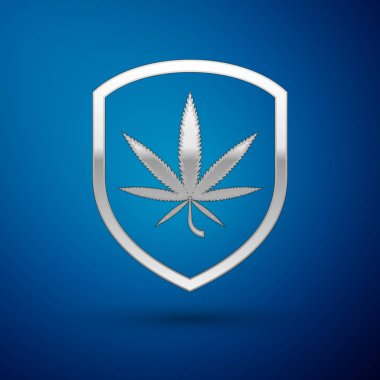 Gümüş Kalkan ve marihuana veya kenevir yaprağı ikonu mavi arka planda izole edilmiş. Marihuanayı yasallaştırma. Kenevir sembolü. Vektör İllüstrasyonu