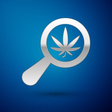 Mavi arka planda gümüş büyüteç ve tıbbi marihuana veya kenevir yaprağı ikonu var. Kenevir sembolü. Vektör İllüstrasyonu