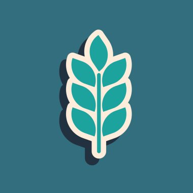 Yeşil Tahıllar pirinç, buğday, mısır, yulaf, çavdar, arpa simgesi mavi arka plan izole ile ayarlanır. Buğday ekmeği sembolleri kulakları. Tarım buğdayı. Uzun gölge stili. Vektör İllüstrasyonu