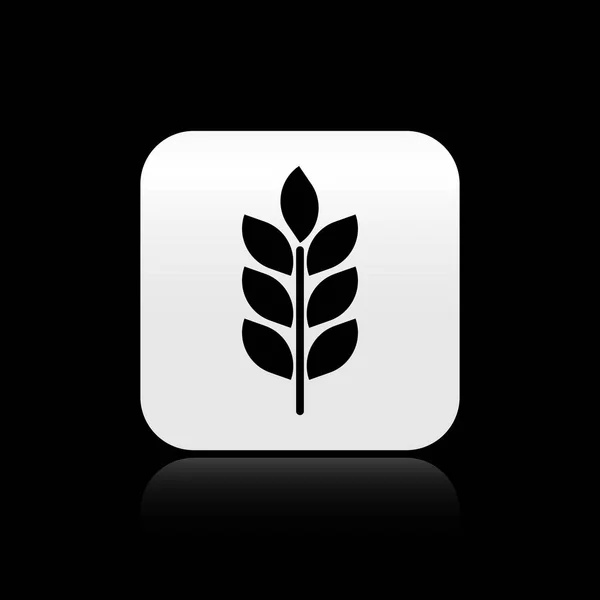 Чорні злаки набір з рисом, пшеницею, кукурудзою, вівсом, житом, ячменем ізольовані на чорному тлі. Вуха символів пшеничного хліба. Сільське господарство пшениця. Срібна квадратна кнопка. Векторна ілюстрація — стоковий вектор