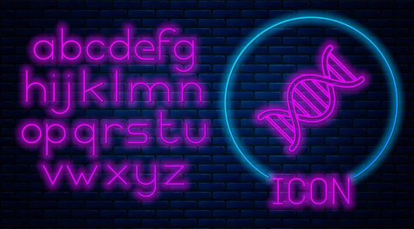 Gloeiende neon DNA symbool pictogram geïsoleerd op bakstenen muur achtergrond. Neon licht alfabet. Vector illustratie — Stockvector