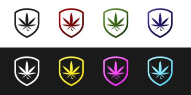 Set Shield ve esrar veya esrar yaprak simgesi siyah ve beyaz arka plan izole. Marihuana yasallaştırma. Kenevir sembolü. Vektör İllüstrasyonu